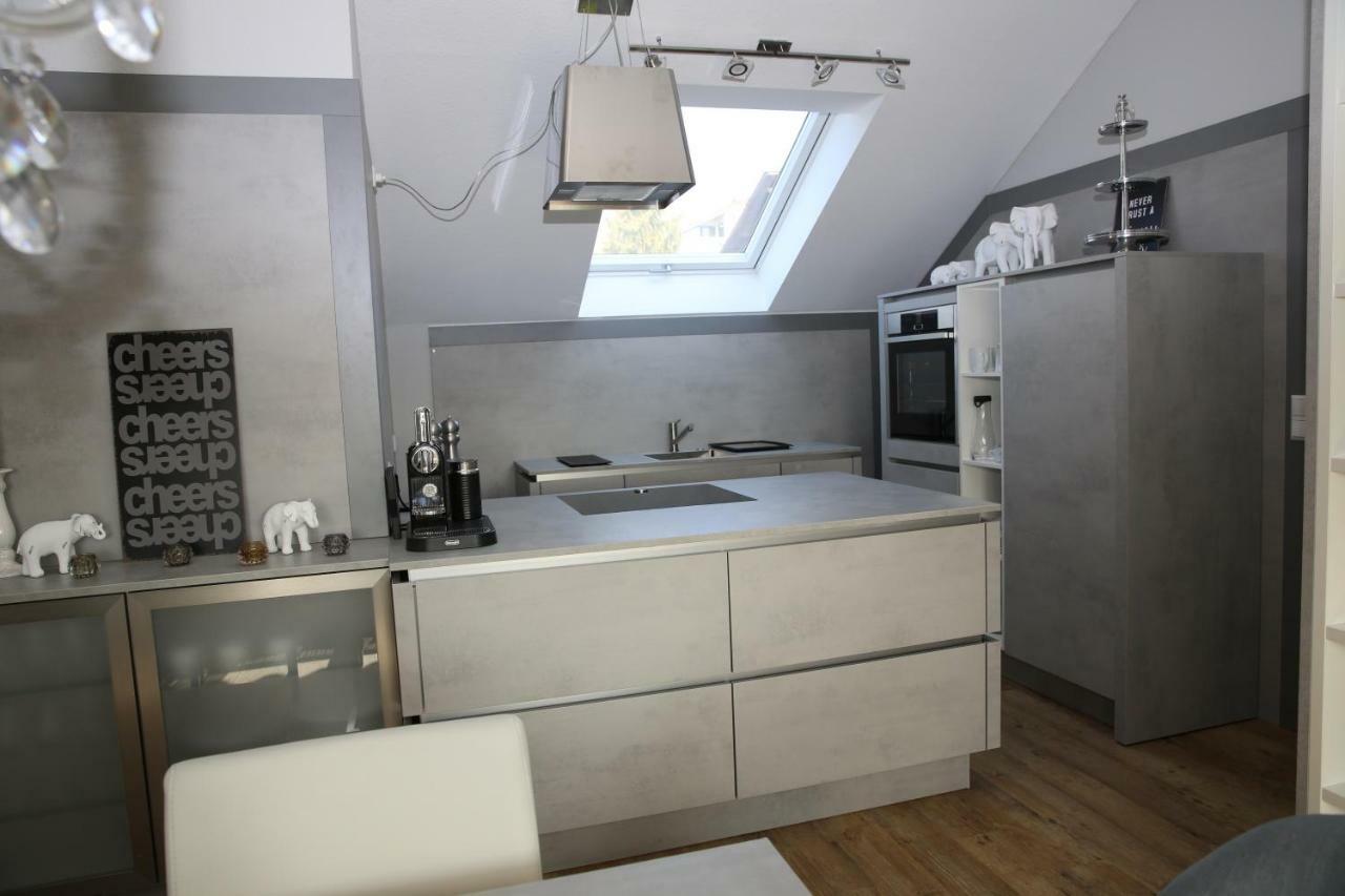 Apartment Mit Designerkueche, Loggia Ludwigsburg Nahe Stuttgart Ngoại thất bức ảnh